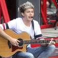 Niall Horan : sa relation avec Barbara Palvin se confirme