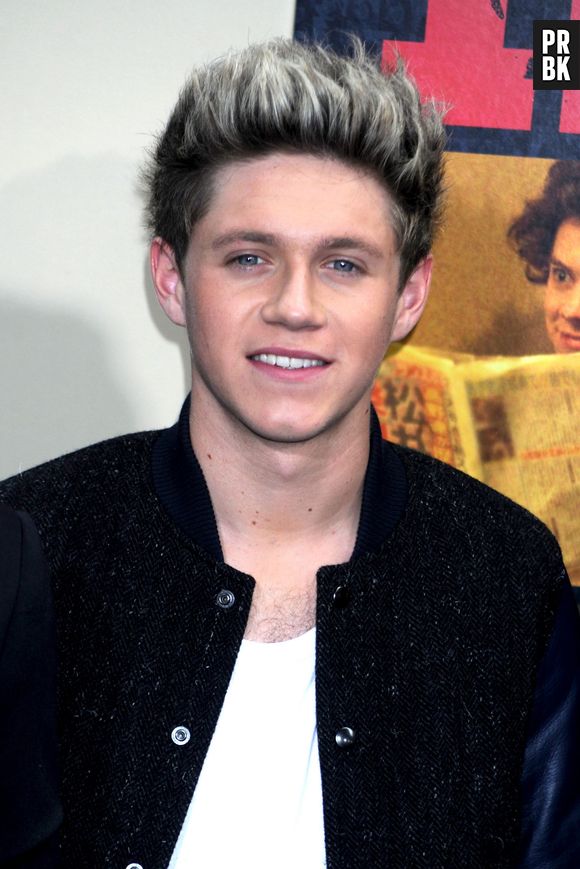 Niall Horan : sa relation avec Barbara Palvin se confirme