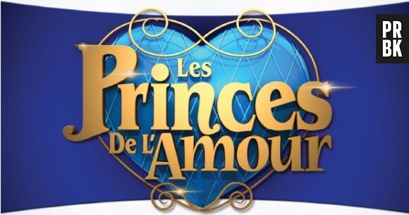Les Princes de l'Amour à partir du 6 janvier 2014 sur W9