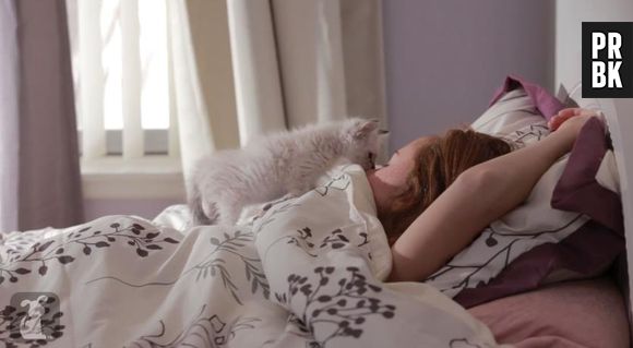 Girls : des chatons parodient les aventures de Lena Dunham