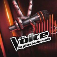 The Voice : Stephan Rizon, Nuno Resende... come-back des anciens pour la tournée