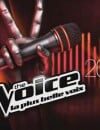The Voice 3 : Mika déçu par certains candidats