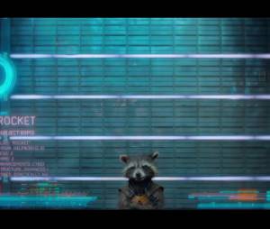Gardiens de la Galaxie : Rocket Raccoon de la partie