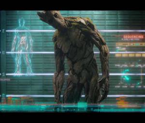 Gardiens de la Galaxie : Groot sera "incarné" par Vin Diesel