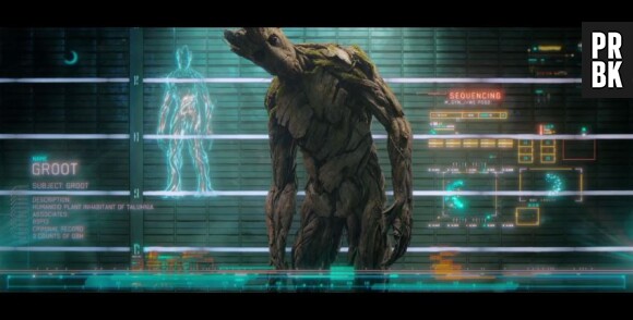 Gardiens de la Galaxie : Groot sera "incarné" par Vin Diesel