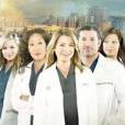  Grey's Anatomy saison 9 : une ann&eacute;e sous tension 