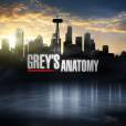  Grey's Anatomy saison 9 : des drames &agrave; venir 