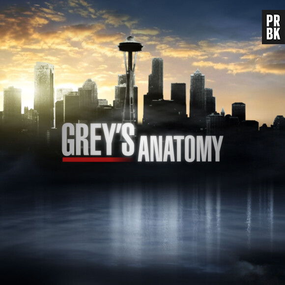 Grey's Anatomy saison 9 : des drames à venir
