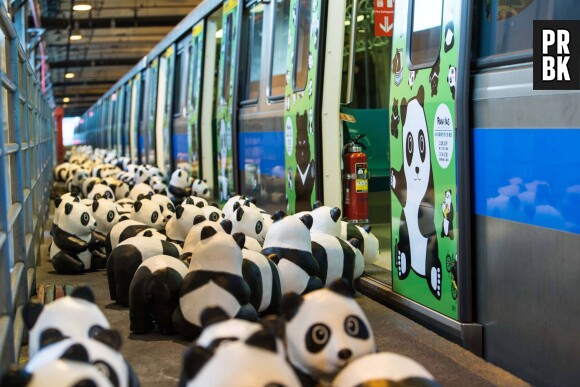 pandas métro