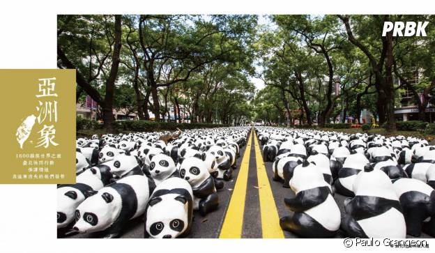 pandas route
