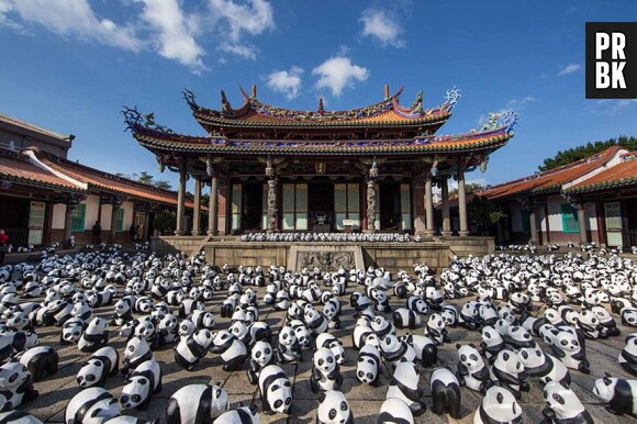 pandas temple