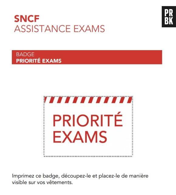 BAC 2014 : un badge "priorité exams" imaginé par la SNCF pour faciliter l'accès des lycéens aux transports malgré la grève