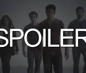 Teen Wolf : d&eacute;j&agrave; une saison 5 ?