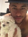  Neymar : fini le Mondial 2014 pour le joueur br&eacute;silien 
