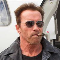 Expendables 3 : Arnold Schwarzenegger en couple gay dans le film