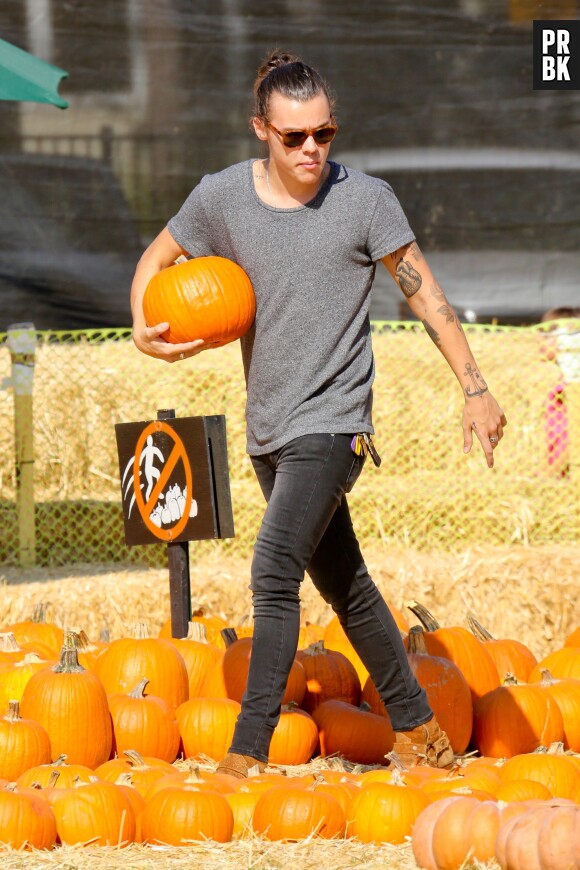 Harry Styles cherche une citrouille à Los Angeles, le 8 octobre 2014 