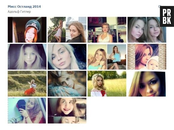Miss Ostland 2014 : un réseau social russe organise l'élection de la fille la plus sexy et la plus fan d'Adolf Hitler