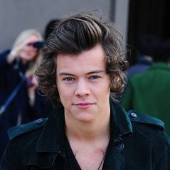 Harry Styles : une fanfiction sur le One Direction transformée en film