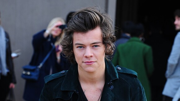 Harry Styles : une fanfiction sur le One Direction transformée en film
