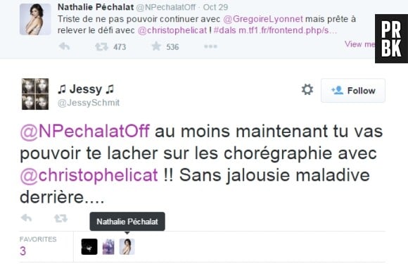 Nathalie Péchalat confirme-t-elle les rumeurs sur Twitter ?