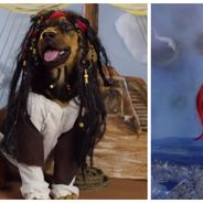 Ces chiens déguisés en personnages Disney vont vous faire craquer