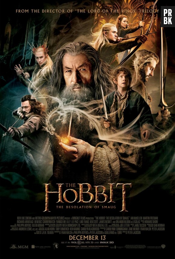 Le Hobbit : la désolation de Smaug dans le top 10 des films les plus téléchargés illégalement en 2014