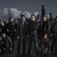 Chicago Police Department déprogrammée : quand arrivera la nouvelle série sur TF1 ?