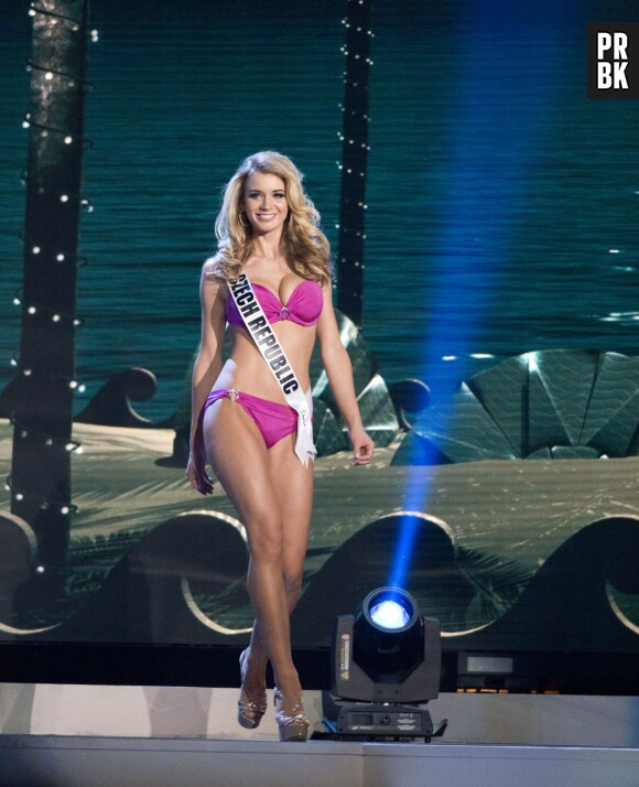 Miss Univers 2015 : qui a le plus joli bikini