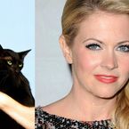 Sabrina, l'apprentie sorcière : qu'est devenue Melissa Joan Hart, la star de la série ?