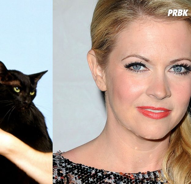Sabrina L Apprentie Sorciere Qu Est Devenue Melissa Joan Hart La Star De La Serie Purebreak