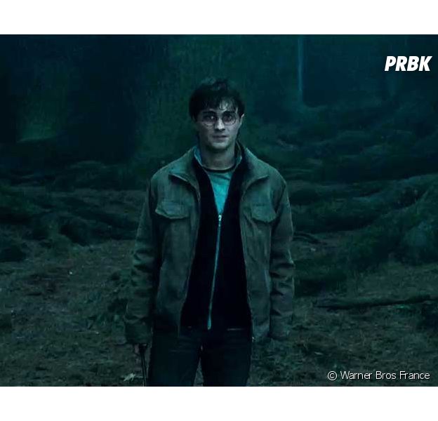 Harry Potter : le monde de Poudlard utilis&eacute; pour des cours d'&eacute;ducation sexuelle