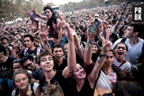 Les perches à selfie interdites dans les festivals américains de Coachella et Lollapalooza 2015