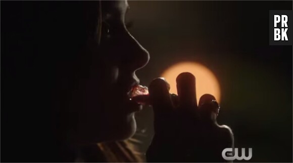 The Vampire Diaries saison 6, épisode 20 : Elena va prendre la cure