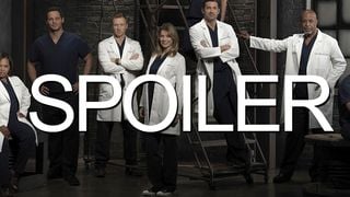 Grey's Anatomy saison 12 : encore au moins 3 saisons pour la série ?
