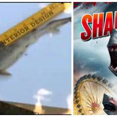 WTF : Sharknado... en vrai ? Des enfants trouvent un requin dans leur jardin !