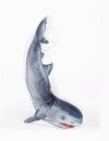 Tom Daley : le nageur sexy se transforme en requin le temps d'un shooting