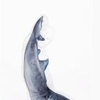Tom Daley : bodypainting ultra sexy pour se transformer... en requin !