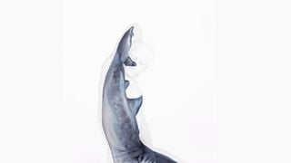 Tom Daley : bodypainting ultra sexy pour se transformer... en requin !