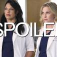 Grey's Anatomy saison 12 : quel futur pour Callie et Arizona ?