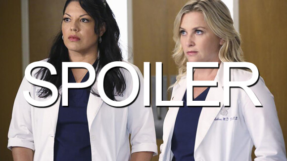 Grey's Anatomy saison 12 : quel futur pour Callie et Arizona ?