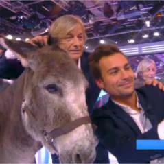 Matthieu Delormeau et Bertrand Chameroy hypnosés : selfies avec un âne qu'ils prennent pour Rihanna