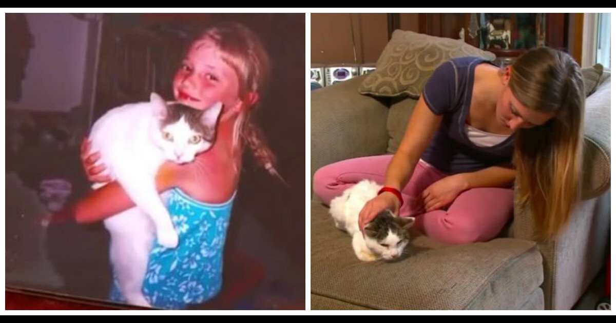 Trop mignon : elle retrouve son chat 14 ans après sa disparition