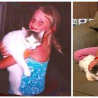 Trop mignon : elle retrouve son chat 14 ans après sa disparition !