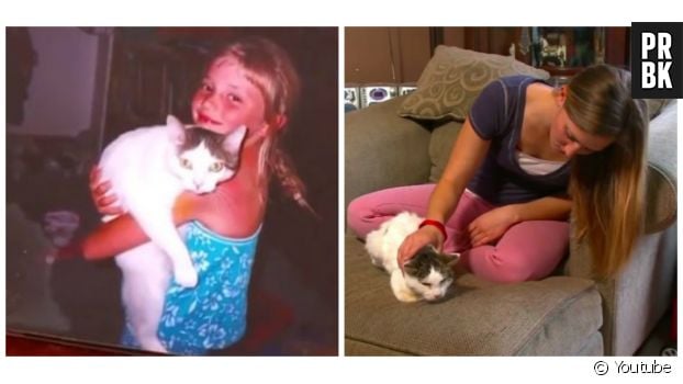 Un reportage sur Jill qui a retrouvé son chat 14 ans après sa disparition