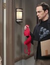 The big bang theory saison 9 : Sheldon et Amy au coeur d'une scène de sexe ?