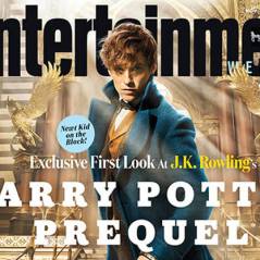 Harry Potter : grosses tensions sur le tournage du spin-off Les animaux fantastiques ?