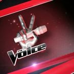 The Voice USA : un candidat bluffant remporte la finale américaine