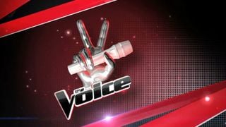 The Voice USA : un candidat bluffant remporte la finale américaine