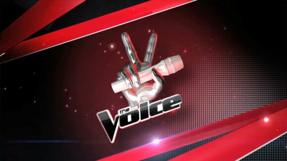The Voice USA : un candidat bluffant remporte la finale américaine