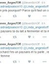Adrien (L'amour est dans le pré 2015) et Steven (Les Anges 7) se clashent sur Twitter le 30 décembre 2015
